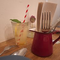 Limonada casera con agave. at botànic in Barcelona