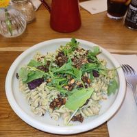  at botànic in Barcelona