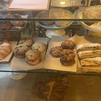   at botànic in Barcelona