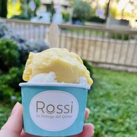 Lemon and passion fruit - 2 scoop serving   at Rossi La Bottega Del Gelato in 