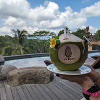 Coconut at Kepitu Restaurant in Ubud