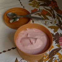 raspberry ice cream at Green Fika in Vimmerby