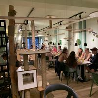   at Katzentempel Minden in Minden