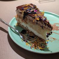  at Katzentempel Minden in Minden