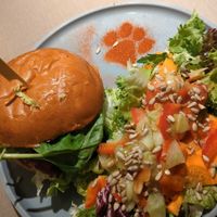  at Katzentempel Minden in Minden