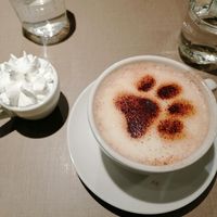  at Katzentempel Minden in Minden