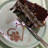 Tiramiezu   at Katzentempel Minden in Minden