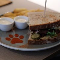  at Katzentempel Minden in Minden