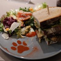  at Katzentempel Minden in Minden