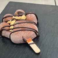 snickers paw  at Katzentempel Minden in Minden