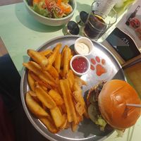  at Katzentempel Minden in Minden