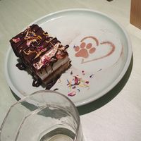  at Katzentempel Minden in Minden