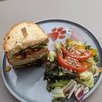 Wir waren sehr angenehm überrascht und angetan at Katzentempel Minden in Minden