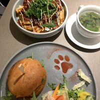   at Katzentempel Minden in Minden