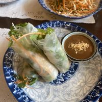 Vegan summer spring rolls  at Hoi An Pho in Doha