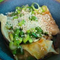 Delicious dumplings at Yatta Vegan in Warsaw