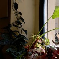  at Radici di Sicilia in Palermo