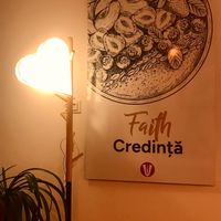  at Vegasmo in Brasov