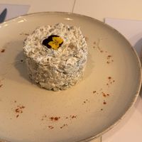   at Vegasmo in Brasov