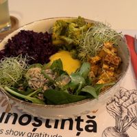   at Vegasmo in Brasov