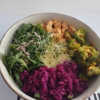  at Vegasmo in Brasov