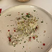   at Vegasmo in Brasov