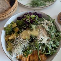  at Vegasmo in Brasov