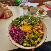  at Vegasmo in Brasov