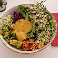  at Vegasmo in Brasov