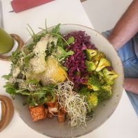  at Vegasmo in Brasov