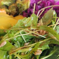  at Vegasmo in Brasov