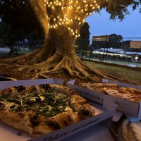 Pizza Funghi   at Gigi's in Balmain