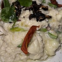 Vegan risotto  at Taboo in Cancun