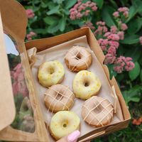  at Monster Baby Donuts - Pop up in Columbus