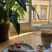 Nerkownik i kawa mrożona  at Vega in Wroclaw