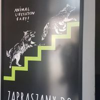 Promoting animal liberation at Vega in Wroclaw