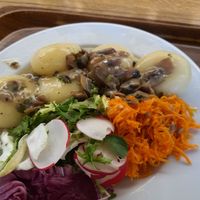 Potato dumplings with mushroom sauce and a salad at Vega in Wroclaw