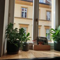 Interior with plants at Vega in Wroclaw