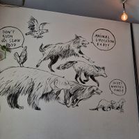 Vegan FTA at Vega in Wroclaw