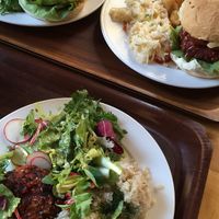 Beetroot burgers at Vega in Wroclaw