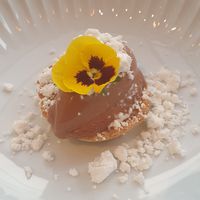 a nut pie with vegan chocolate mousse at Hotel Norden in Haderslev