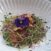 grilled capercaille mushroom in a mushroom stock with sprouts and dried chips at Hotel Norden in Haderslev