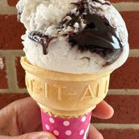 Non-dairy Mint Chocochunk on a cake cone ~ All Vegan at Baskin-Robbins - Preston Rd in Frisco