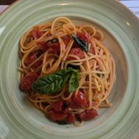 Spaghetti al Pomodoro at Gusto Leo in Florence