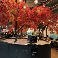 interior  at Grounded Kitchen  in Watford