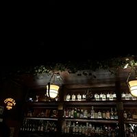   at Dodo Café in Queretaro