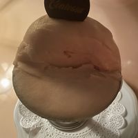 Seasonal sorbet for dessert - white peach   at Contessa in Boston