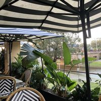   at Holy Basil in Parramatta