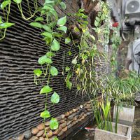   at Nhiên's Kitchen in Ho Chi Minh City