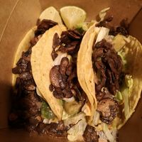  at Plant Punk in Zagreb